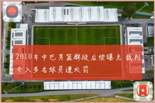 2010年中巴男篮群殴后续曝光 裁判介入多名球员遭处罚