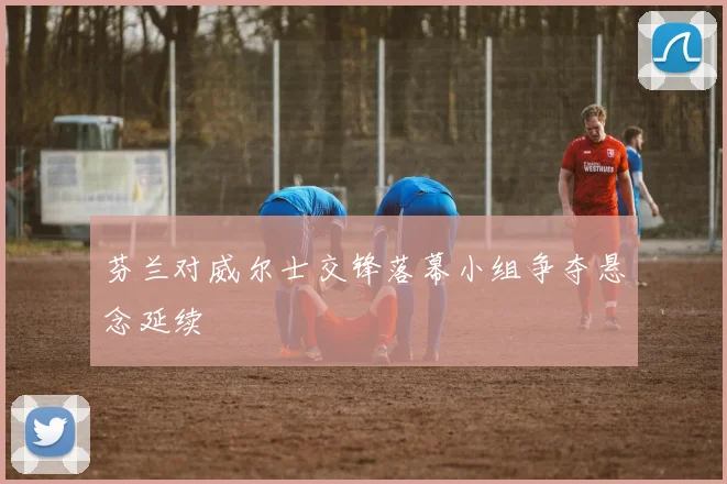 芬兰对威尔士交锋落幕小组争夺悬念延续