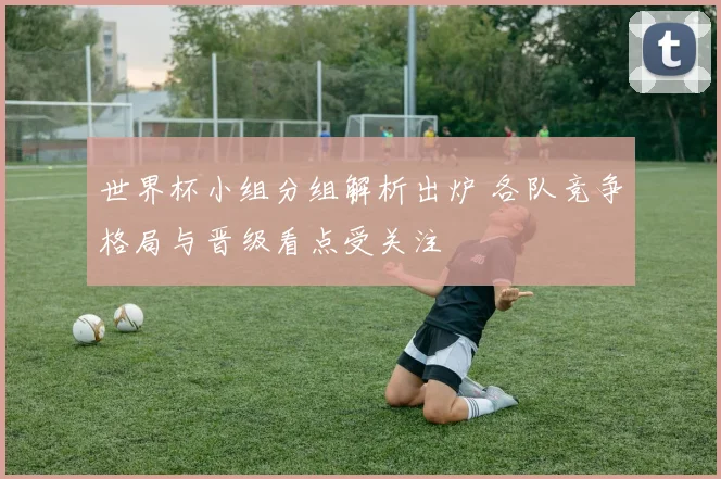 世界杯小组分组解析出炉 各队竞争格局与晋级看点受关注