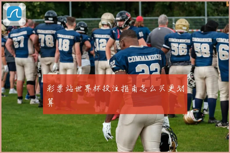 彩票站世界杯投注指南怎么买更划算